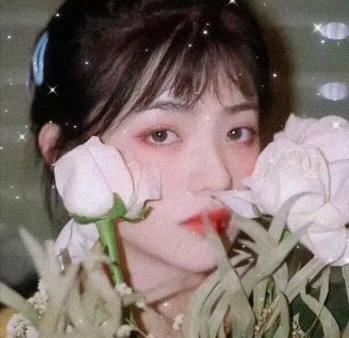 机械危情