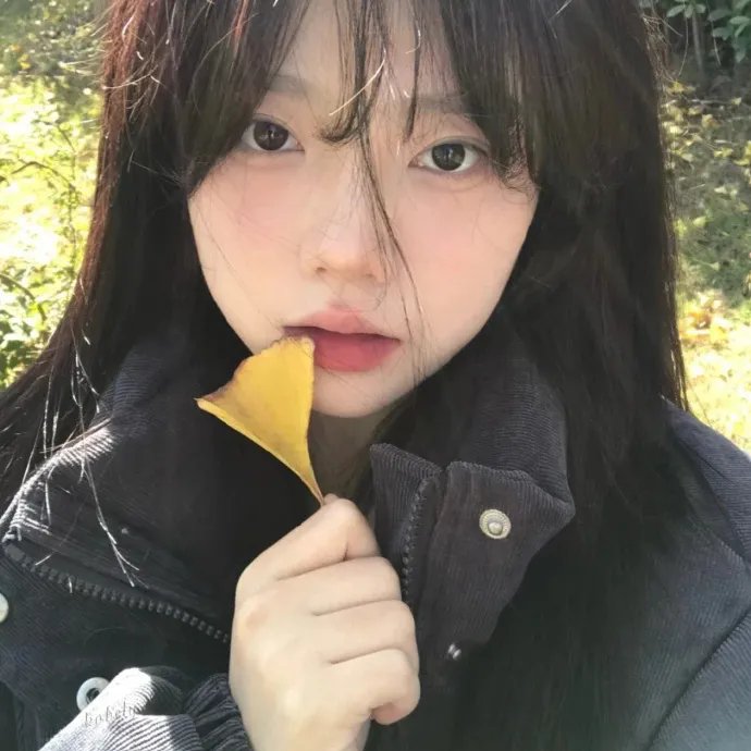 美国派